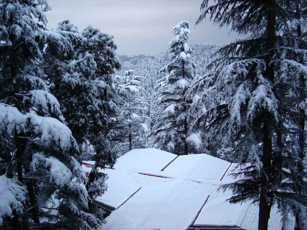 Fairmount Hotel Shimla Bagian luar foto